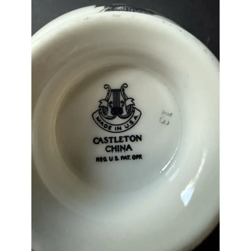 Wild Game Birds By Castleton China Cup And Saucer Set Pintail Duck Made In USA